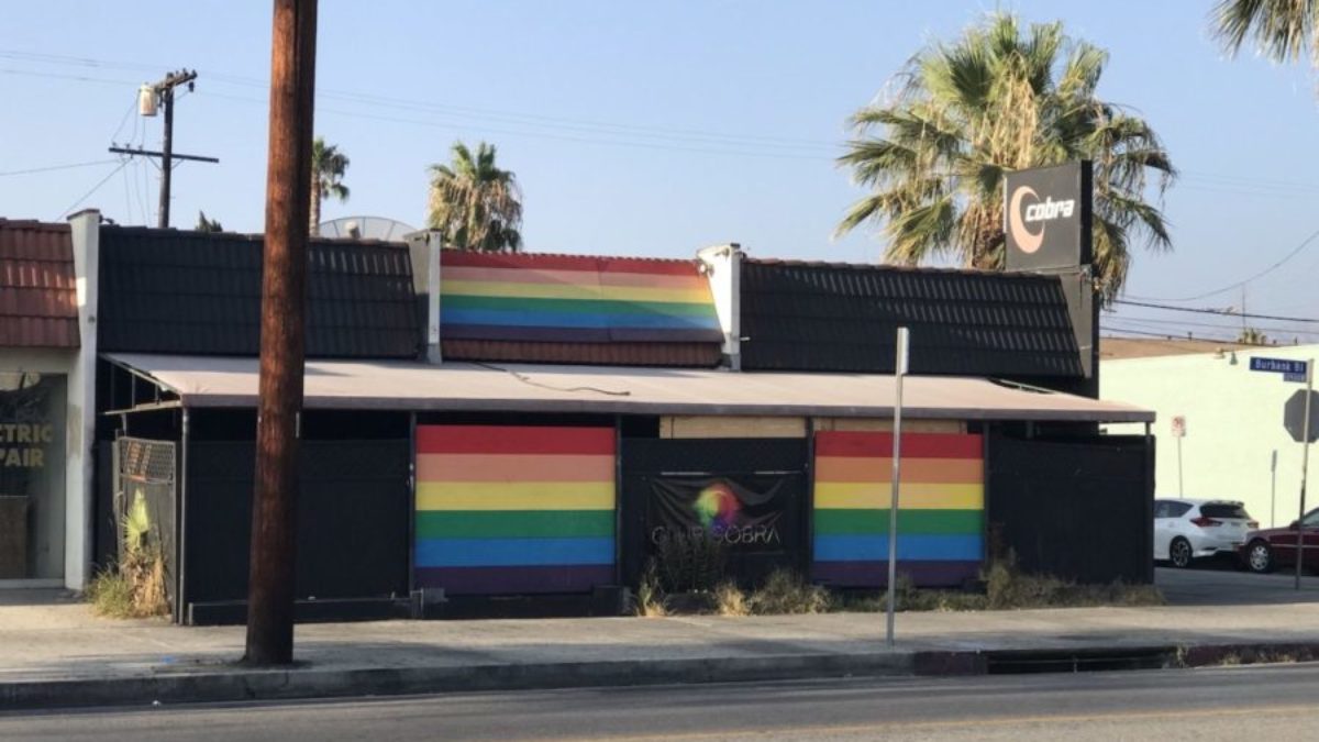 Gay club cobra Gay Latino