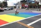 Rainbow crosswalks West Hollywood